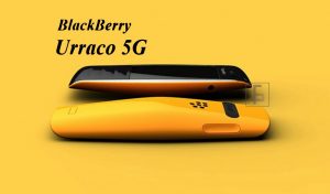 Read more about the article Blackberry Urraco 2022 Specs, Price, Release Date and News